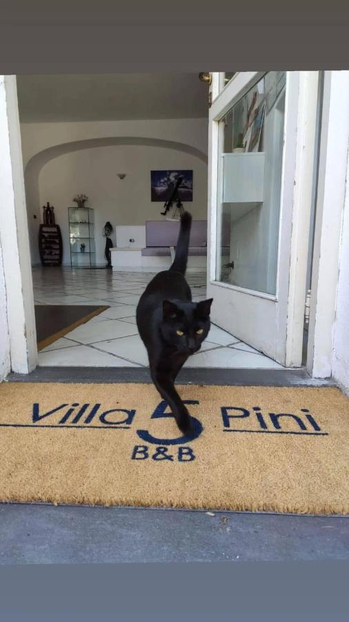 Villa Cinque Pini Casamicciola Terme Exteriér fotografie