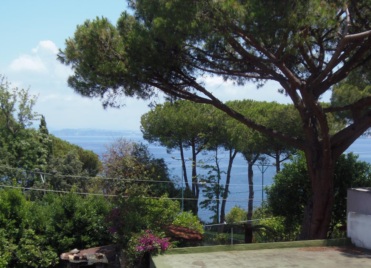 Villa Cinque Pini Casamicciola Terme Exteriér fotografie